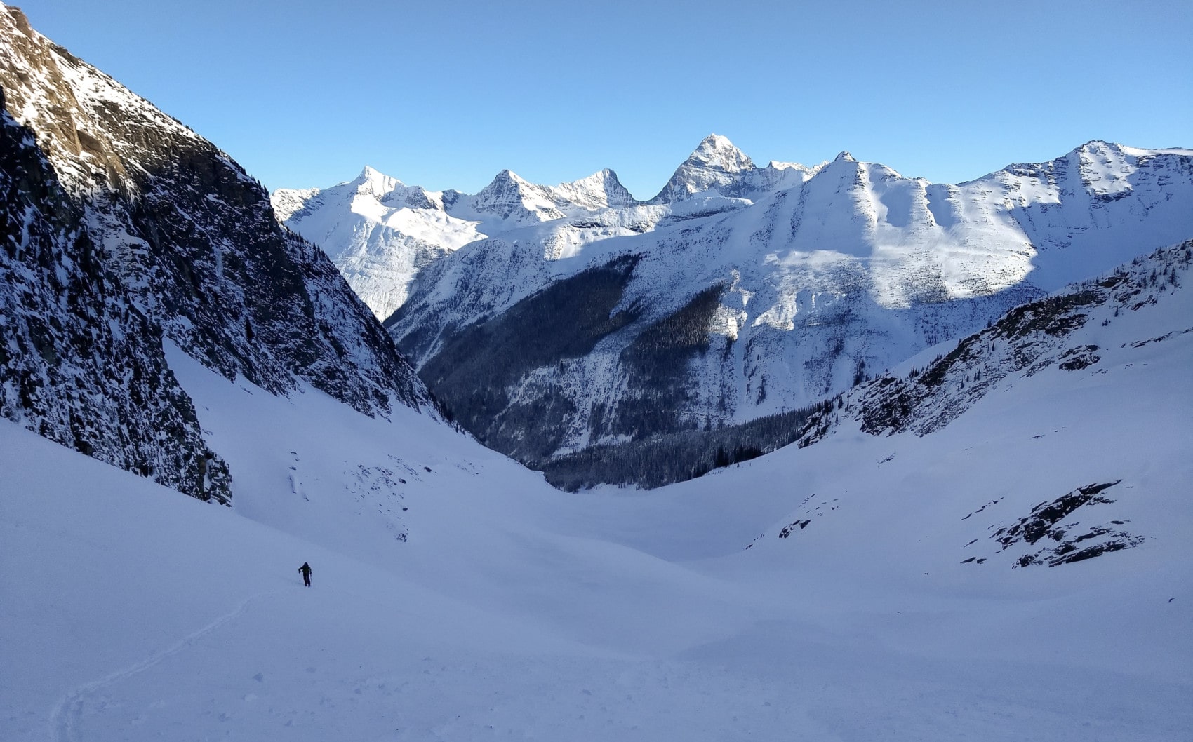 rogers pass landscape of sir donald range banner