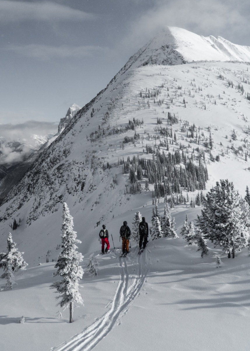 uptrack towards nikkis notch
