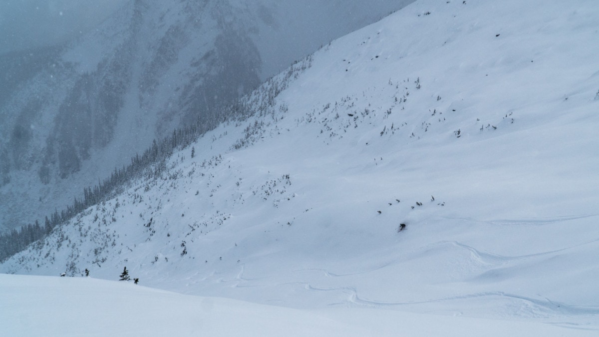 man skiing down grizzly bowl in fog