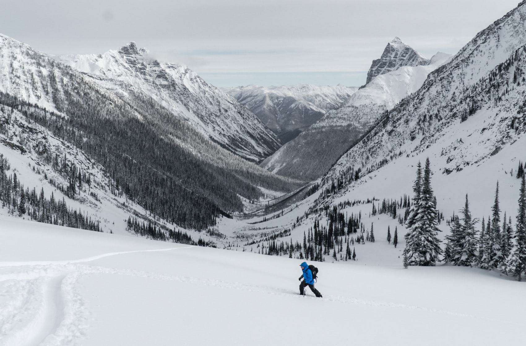 splitboarder walking up balu pass