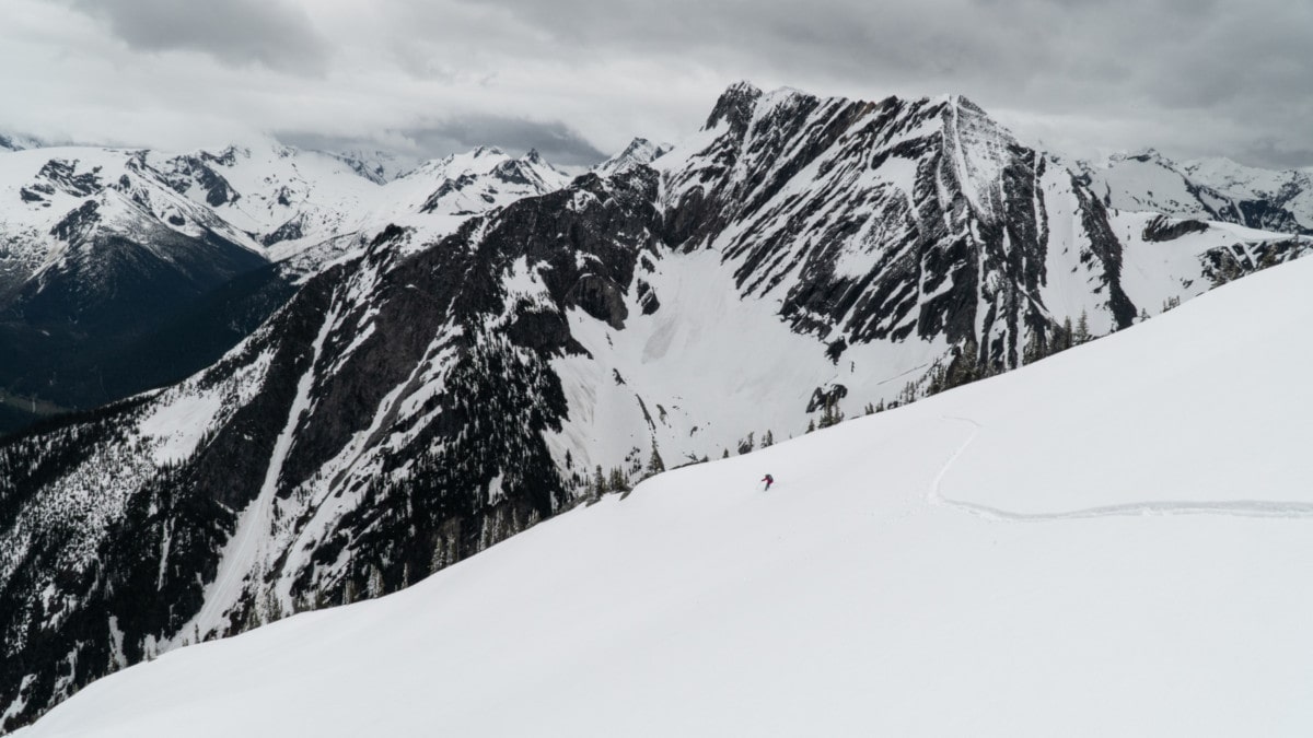 freddy skiing during summer at rogers pass