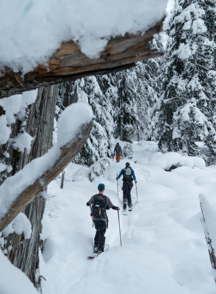 splitboarders touring up the loop brook drainage