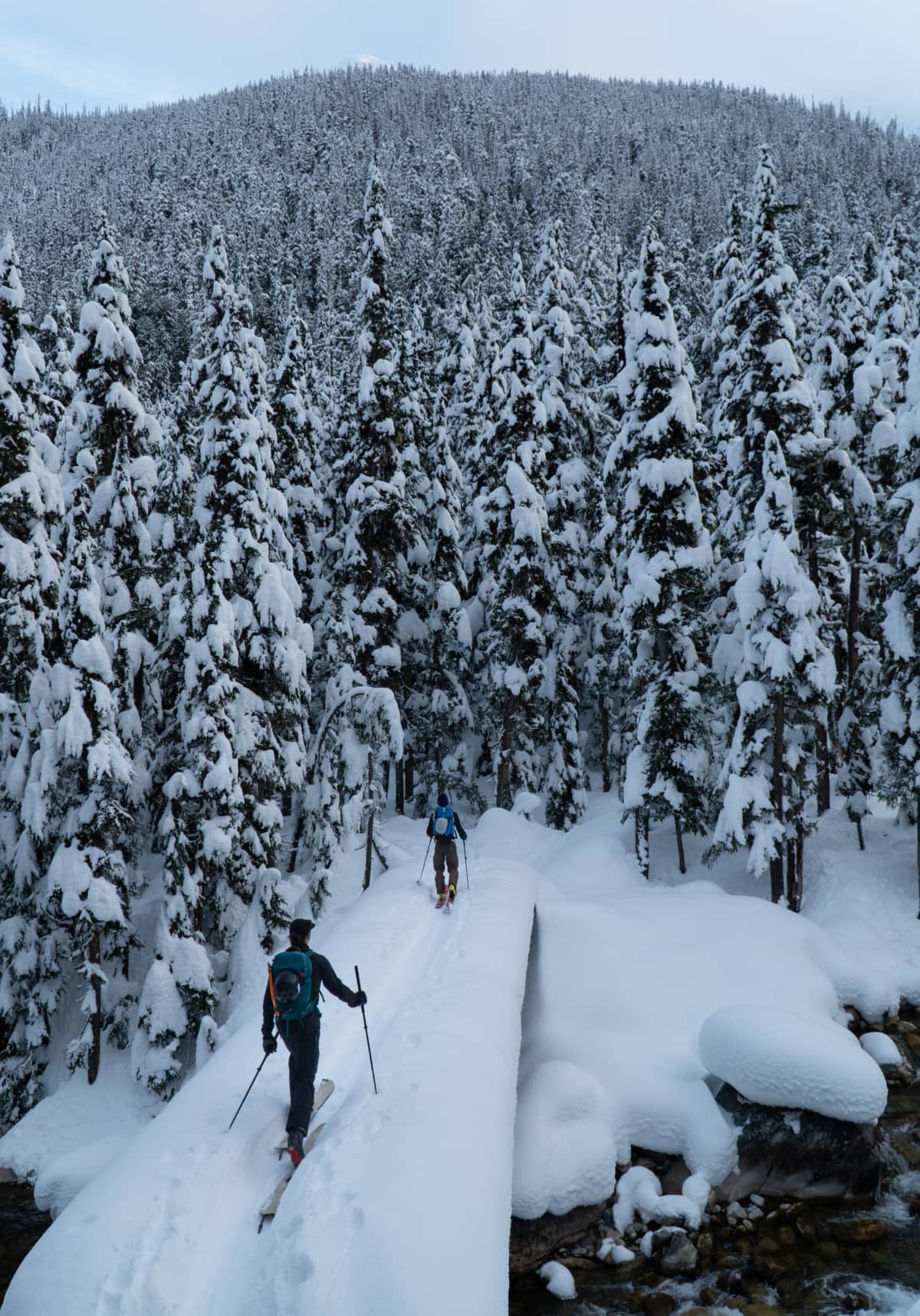 two skiers walking over a footbridge on illecillewaet river