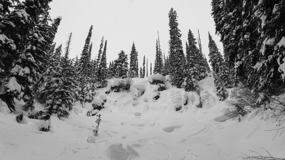 pillow field below the bonney moraines