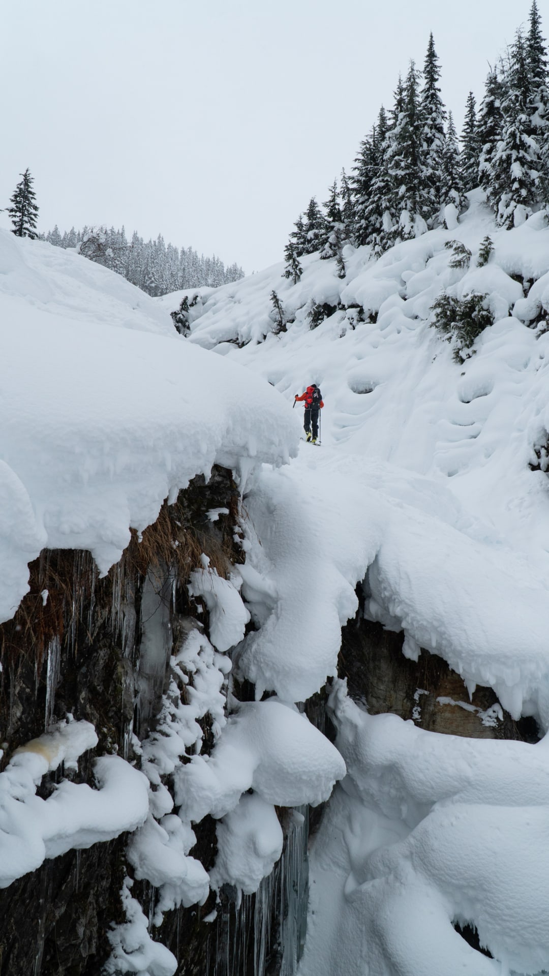 ski touring up the elephant trunk of the loop brook valley