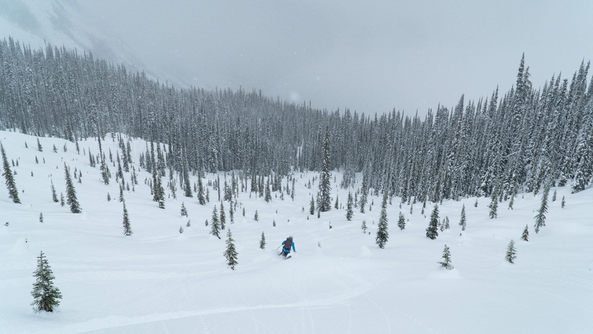 skier charging down the bonney moraines at treeline