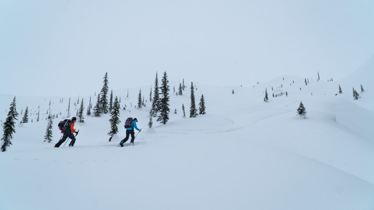 skiers touring up an alpine slope