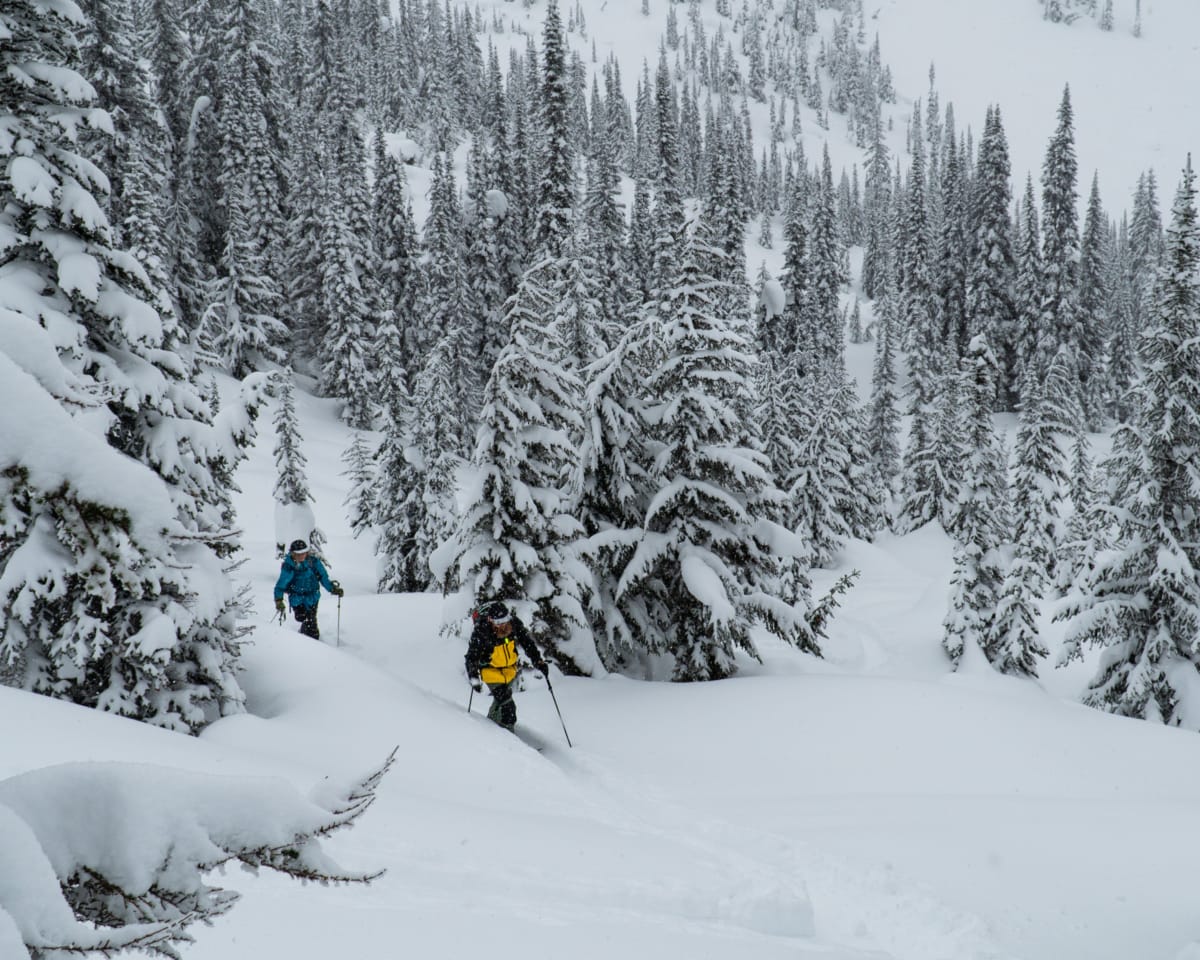 splitboarders walking up avalanche south bowl