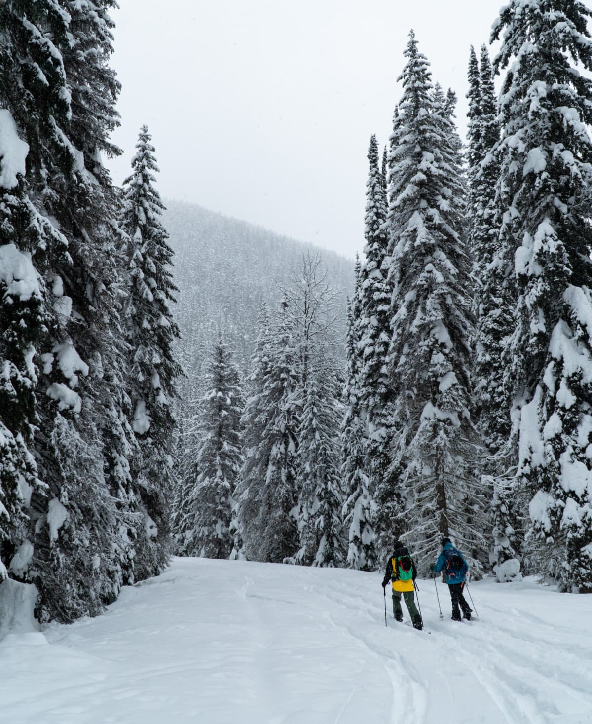 two splitboarders walking on the illecillewaet railroad grade