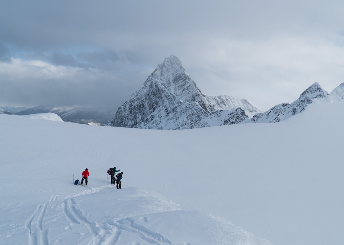 group of skiers pointing at some peak on the avalanche north glacier 1