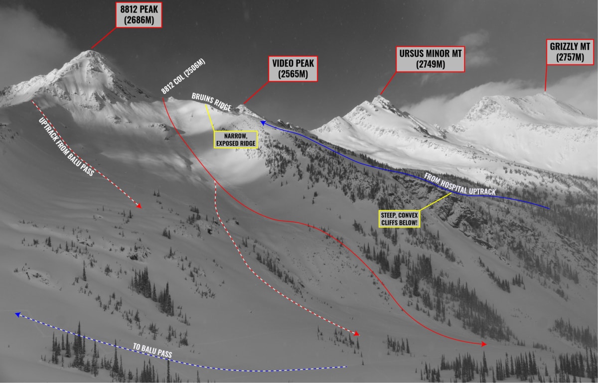 overview of 8812 bowl with overlay