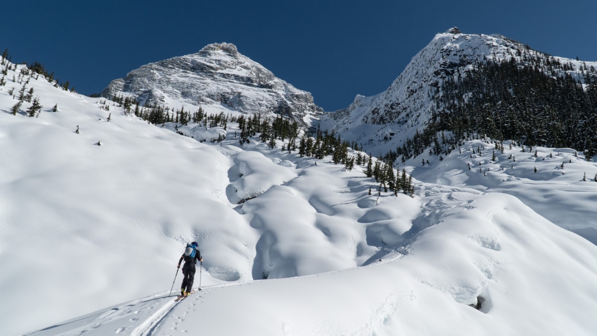 ski tourer heading up the sir donald valley