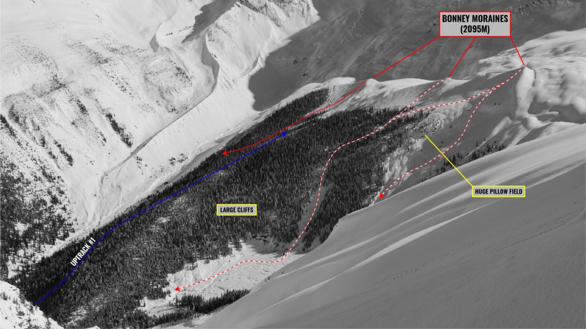 close up view of bonney moraines with overlay