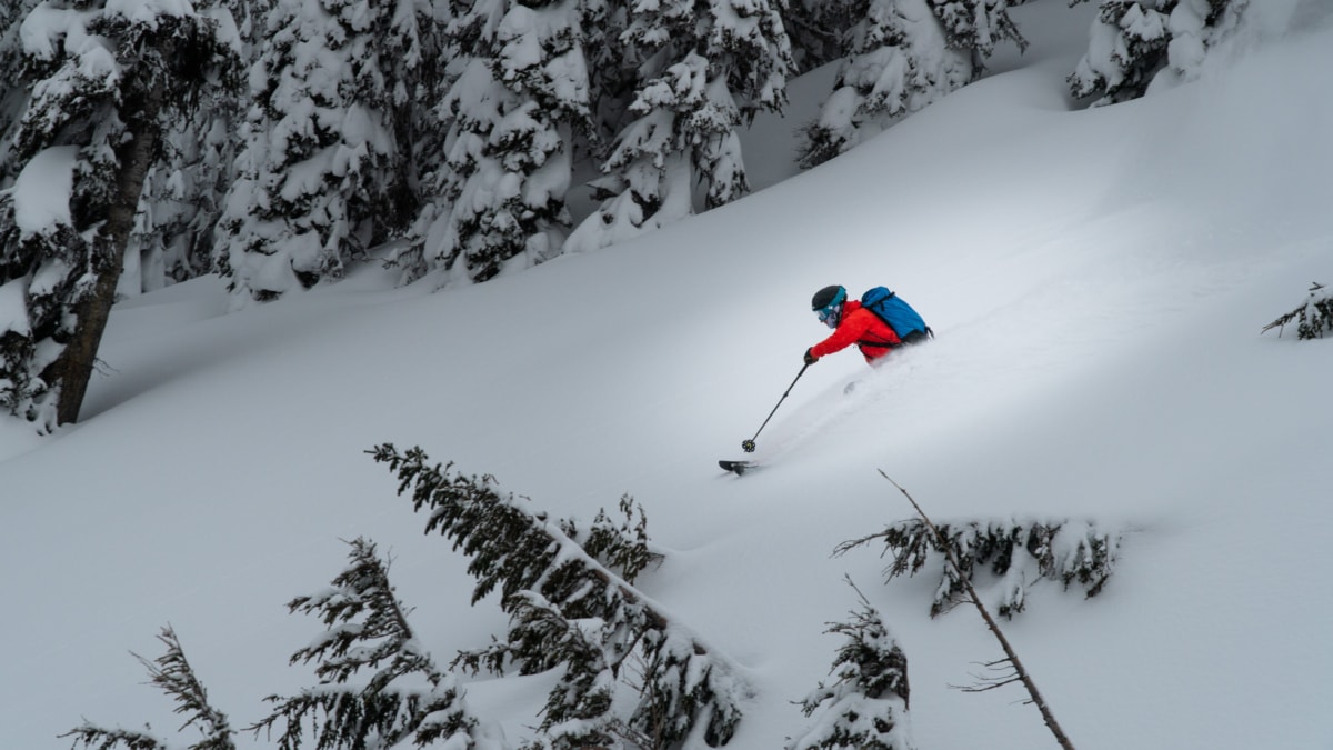 freddy weaving through trees on skis