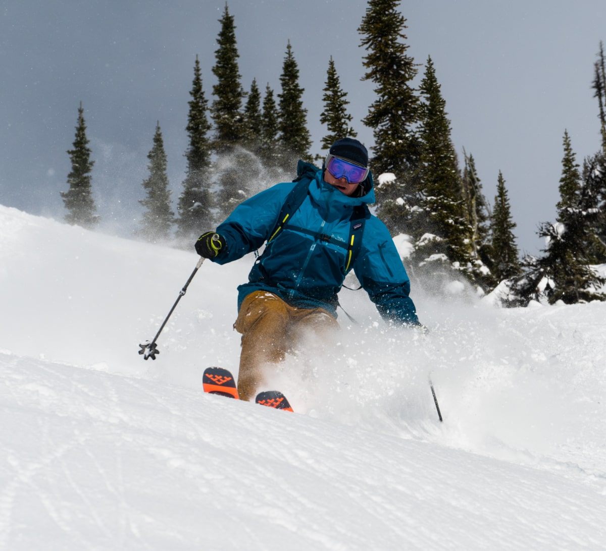 jeff navigating the top of grizzly trees