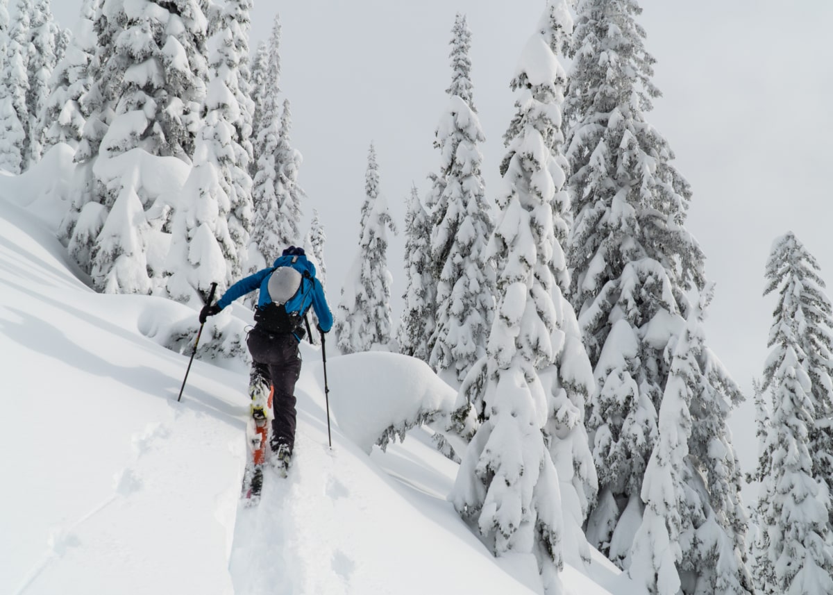 man breaking trail in the rogers pass backcountry