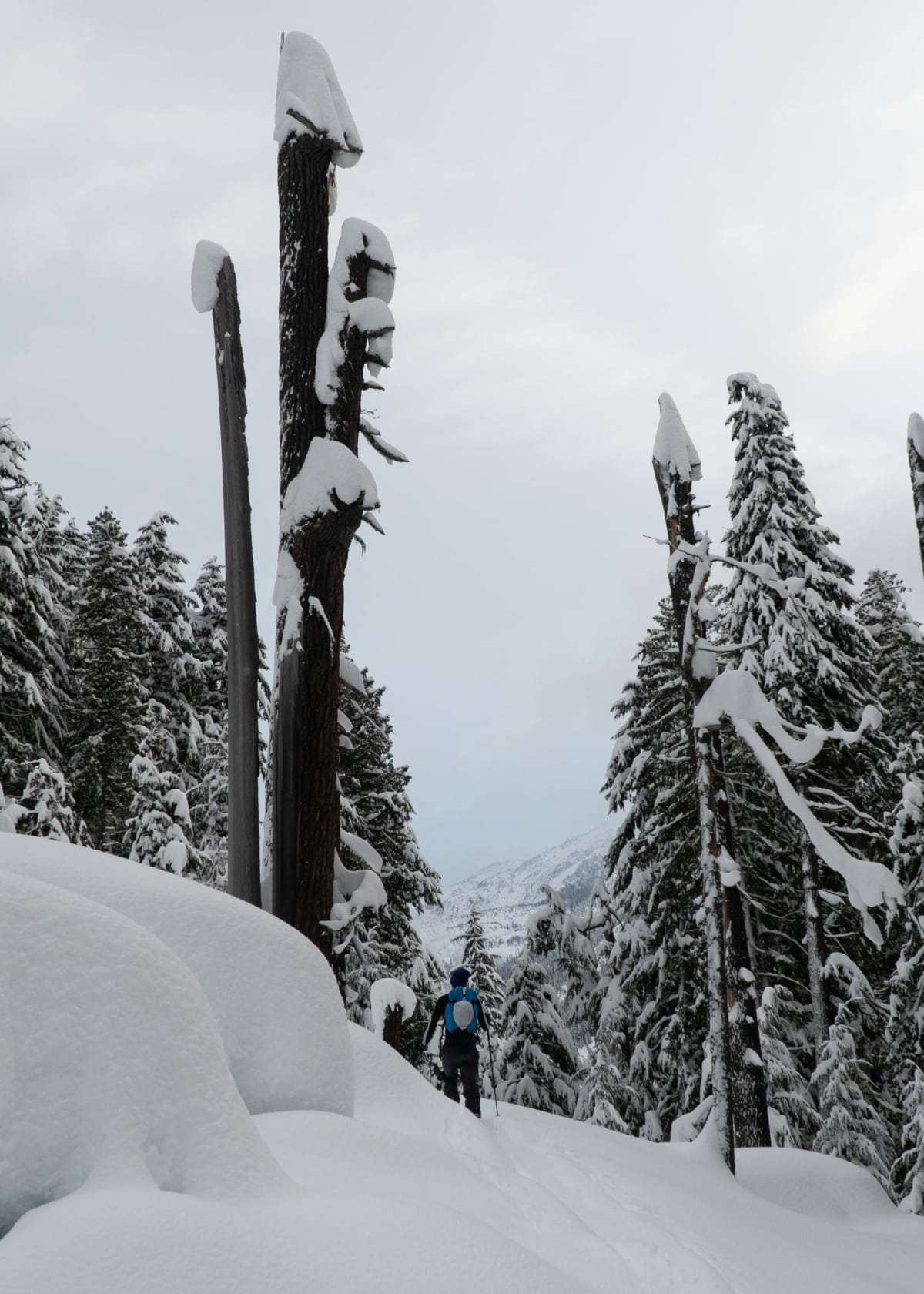 man skiing up the mcgill shoulder