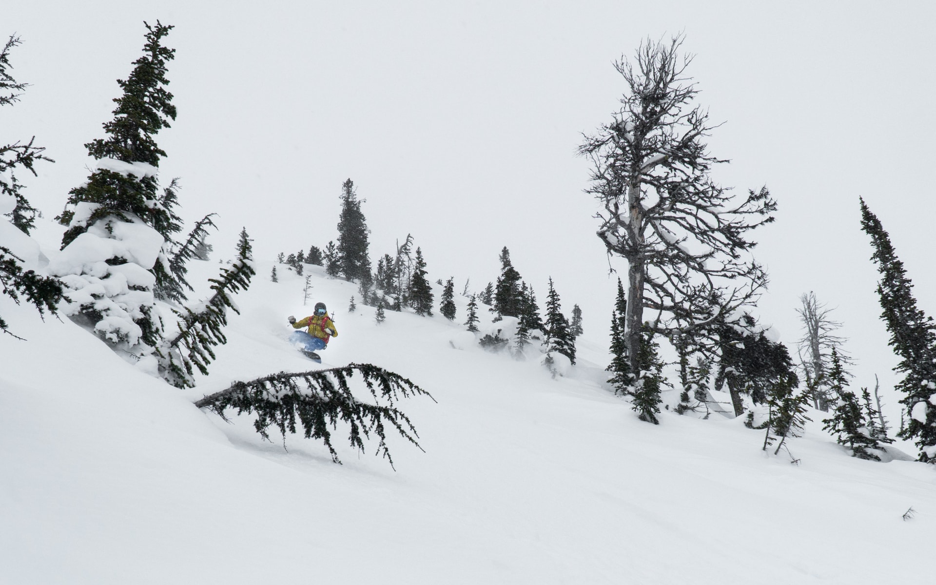 snowboarder slashing a turn in the ravens