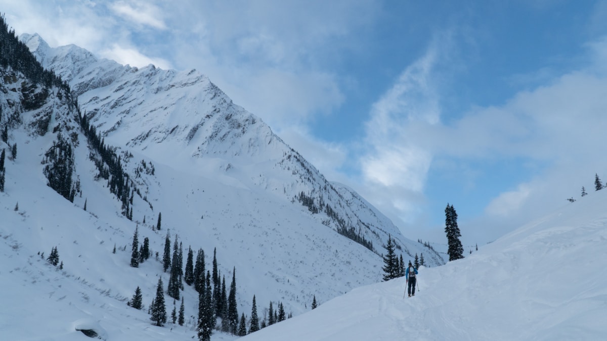 skier ascending connaught creek in the morning