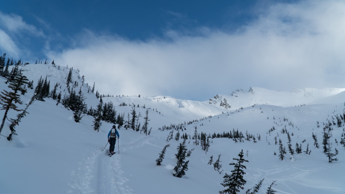 skier ascending hospital bowl