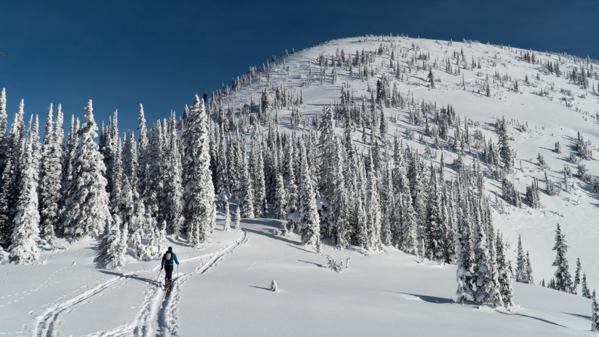 man gliding towards the cheops west ridge at treeline