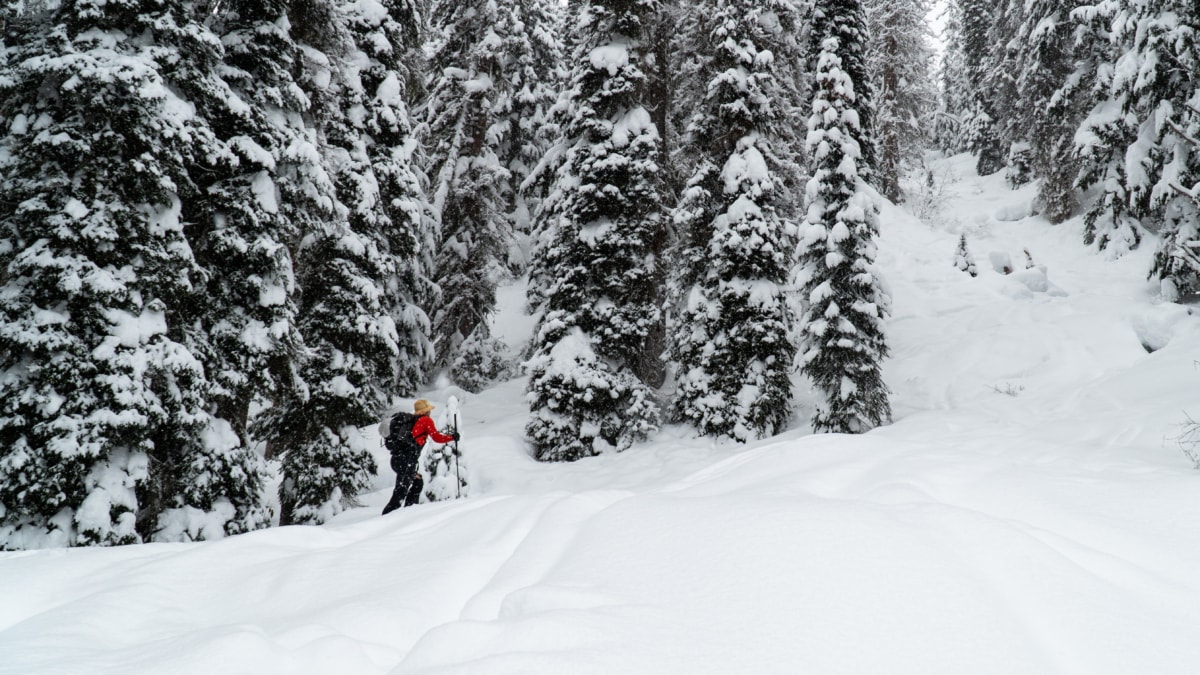 man splitboarding up a snowy slope into the grizzly shoulder early uptrack