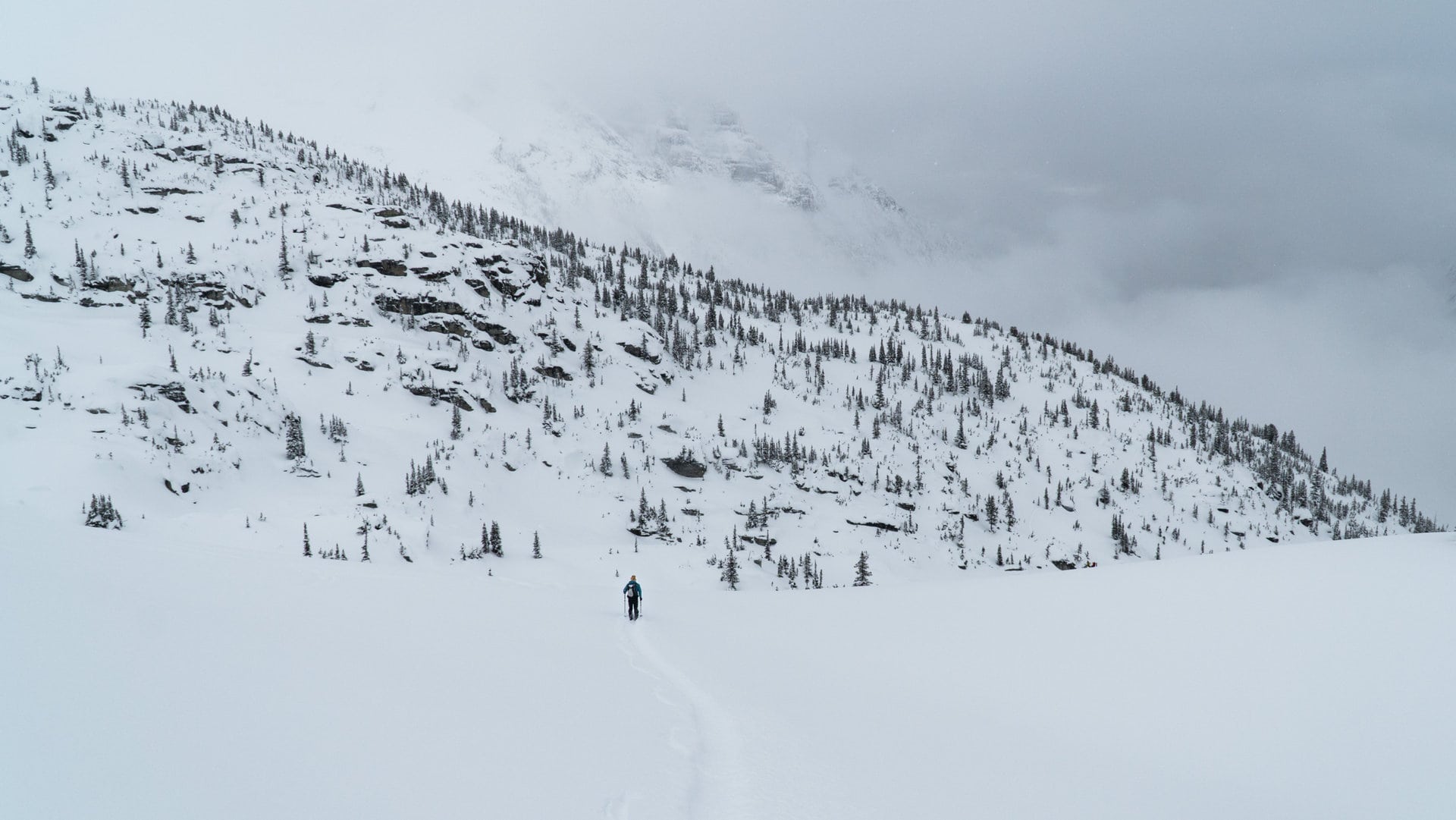 man walking in a snow field towards puff daddy