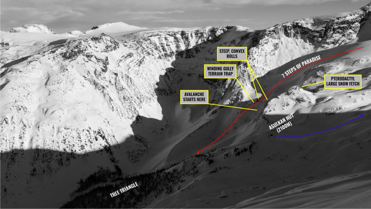 overview of 7 steps of paradise, avalanche at pterodactyl