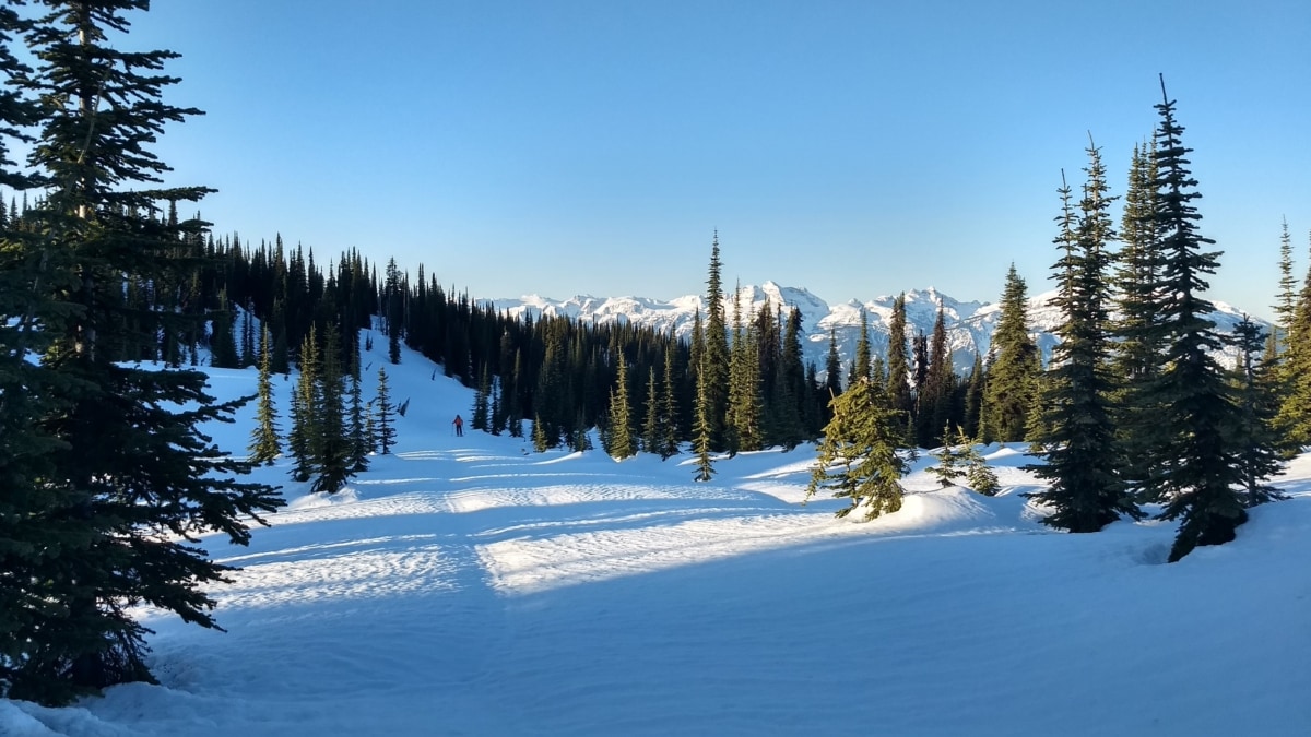 skier descending the mt revelstoke road in the winter