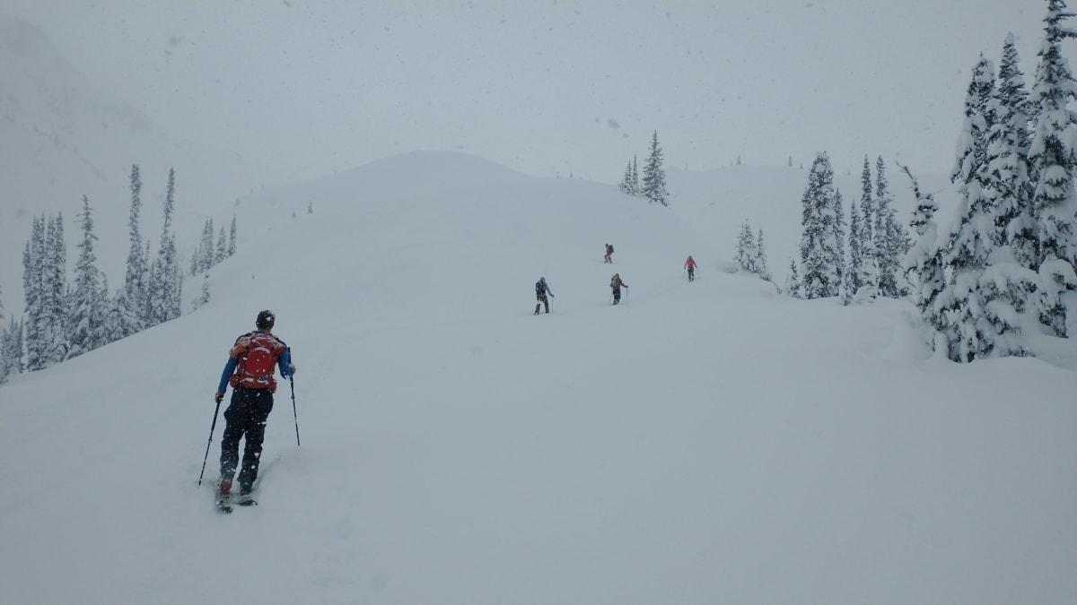 the asulkan hut crew skinning up the tree triangle