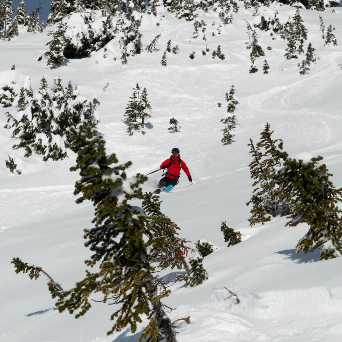 skier slashin a turn in moist powder