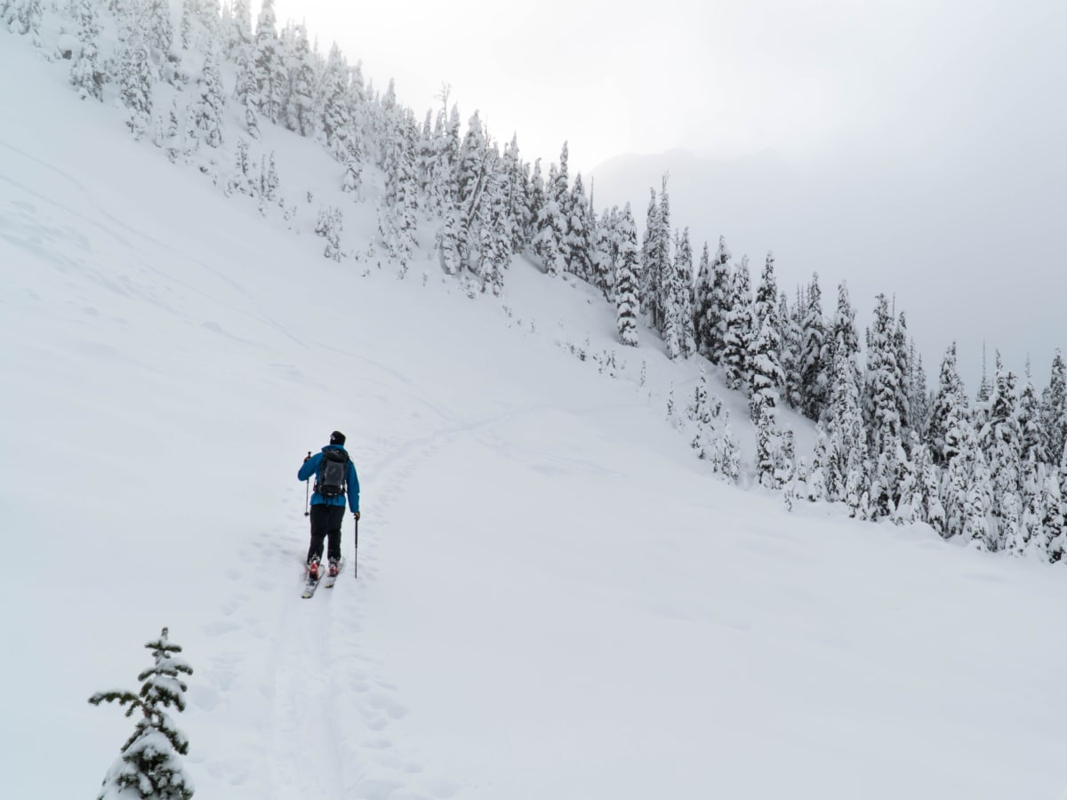 skier touring across the ravens