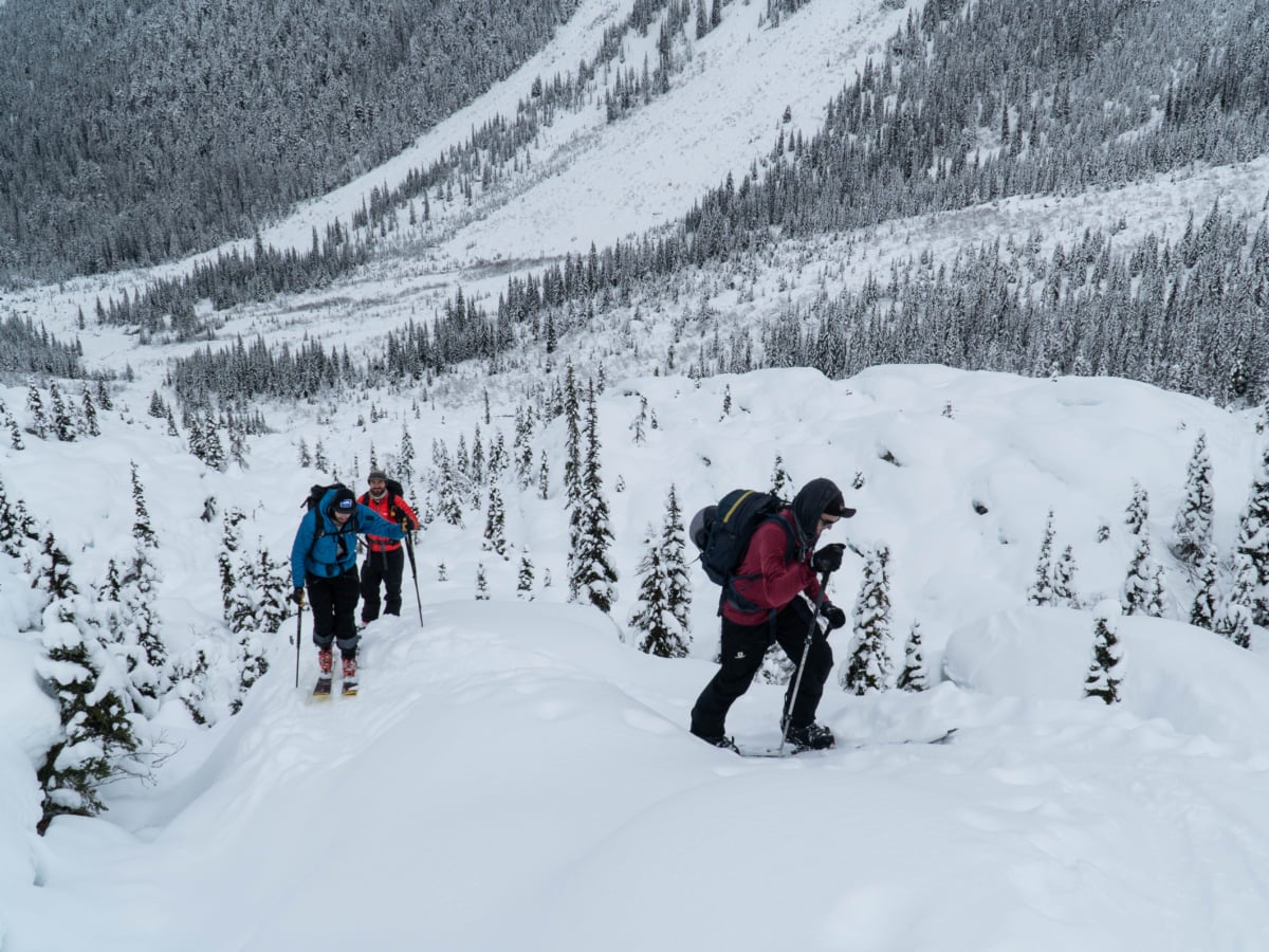 skiers touring up the illecillewaet moraines