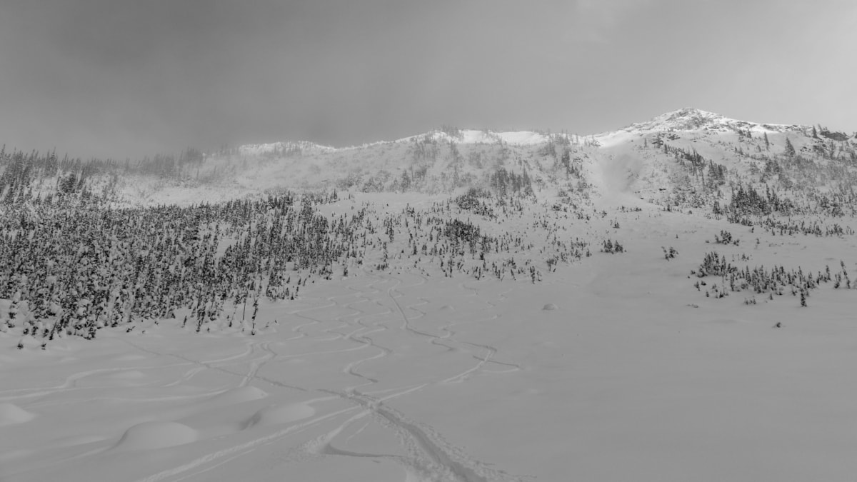 view of the ravens in early december