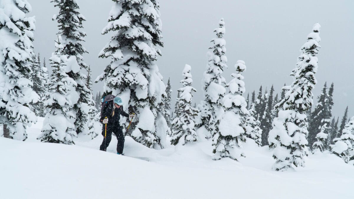 woman skiing up wolvering ridge