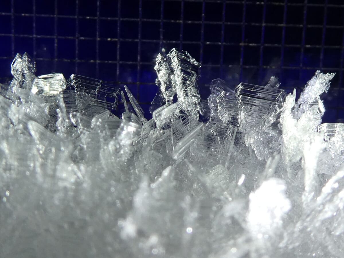surface hoar crystal