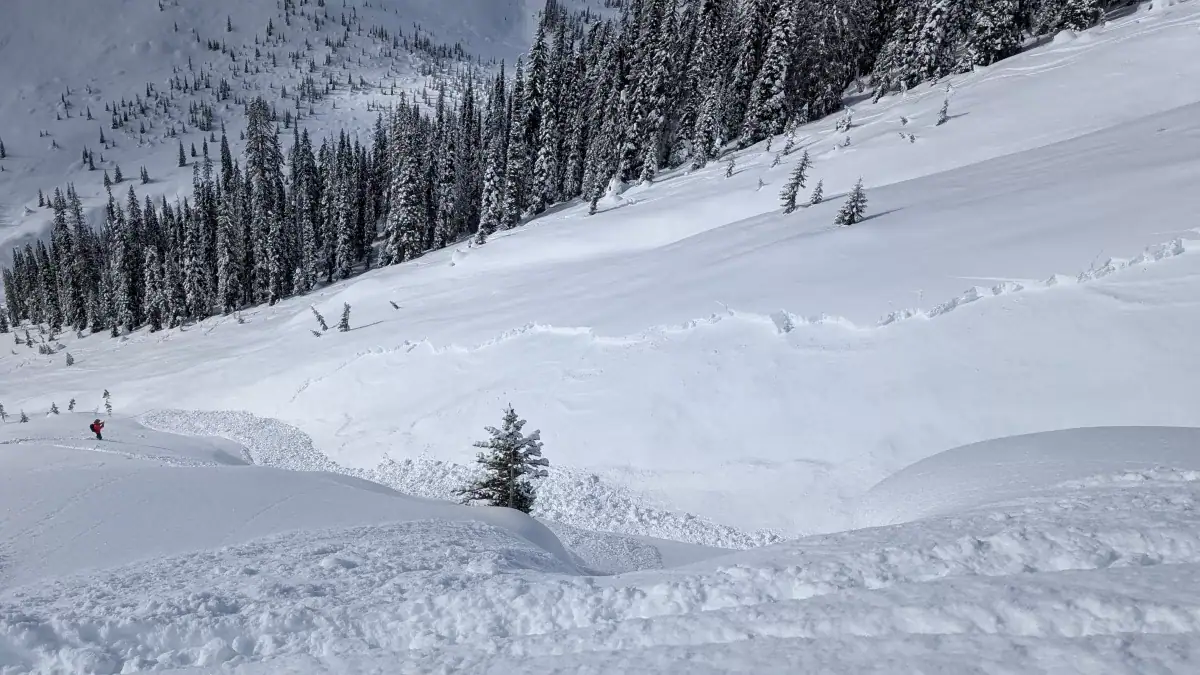avalanche incident with heli ski guide