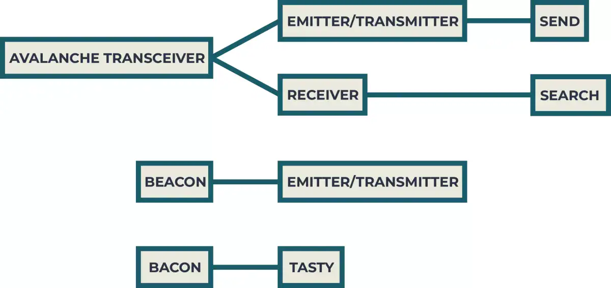 functions of an avalanche transceiver (2)