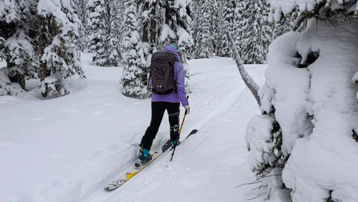 ski tourer walking on the montana cat track in the rmr slackcountry