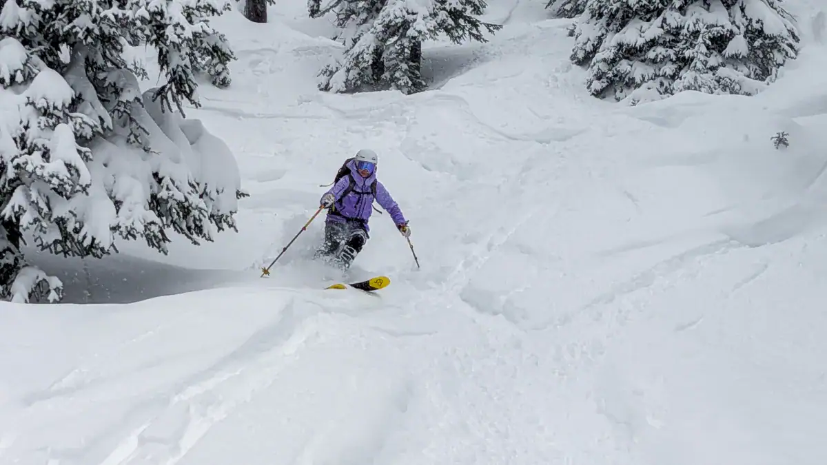 skier slashing a turn in deep powder in montana trees