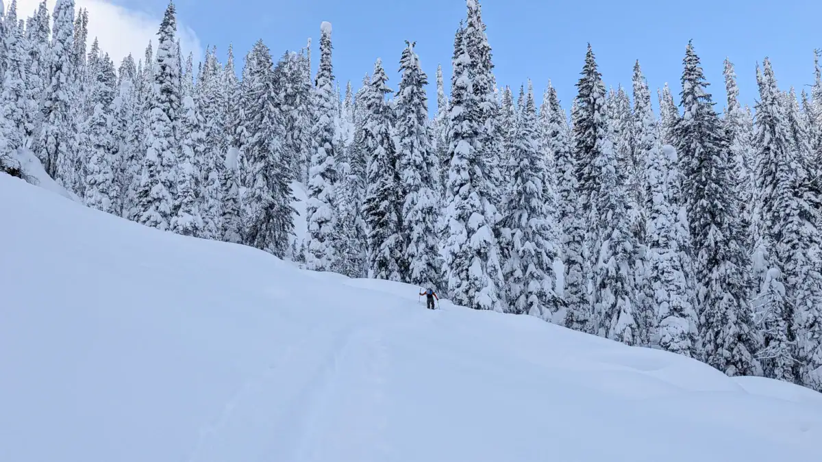 ski tourer heading up fuzzy knob