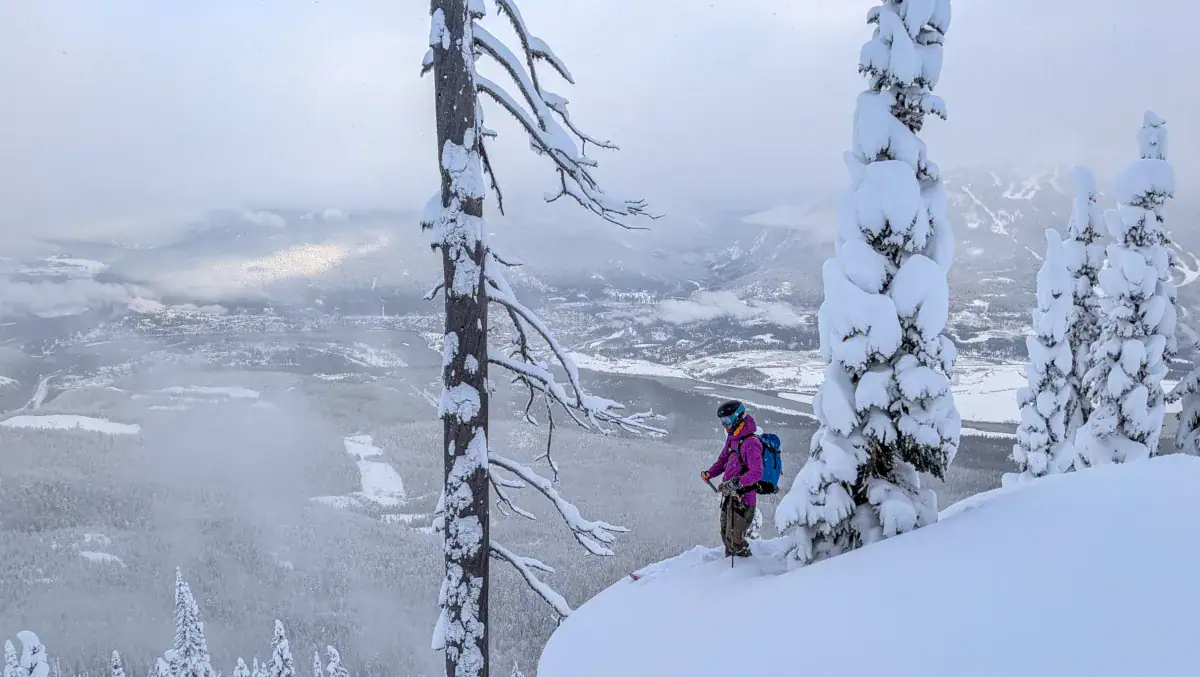 skier standing on top of a snow pillow by a snowy tree