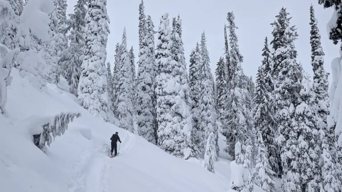 splitboarder heading up the notch between fuzzy and burnt knob