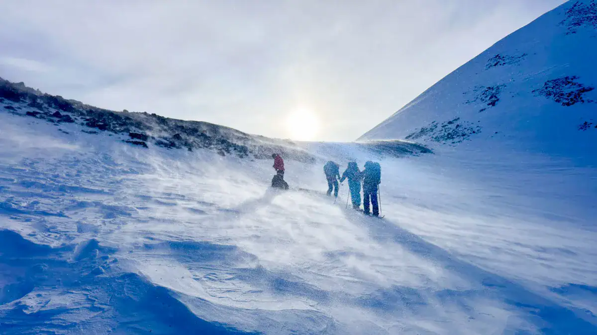 a group of skiers going up a windy glacier in the rockies