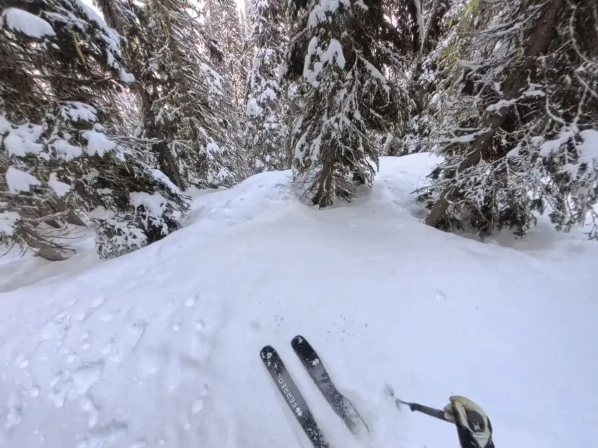 screenshot of the pionnier 104 touring skis