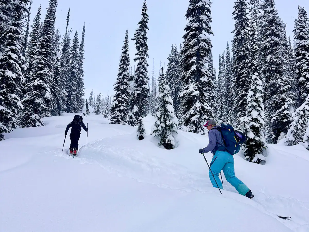two skiers walking up a treed meadow